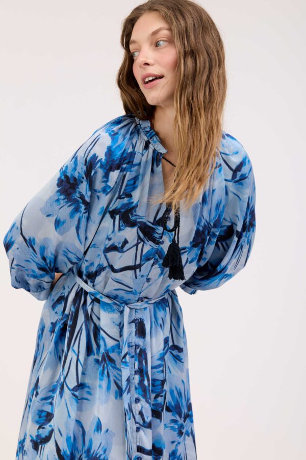 Blue Naya Dress