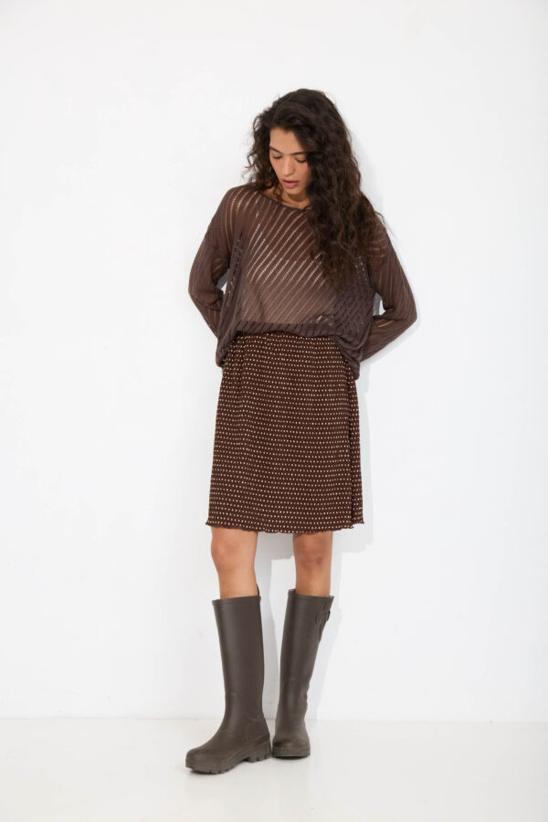 Brown Arizona Skirt