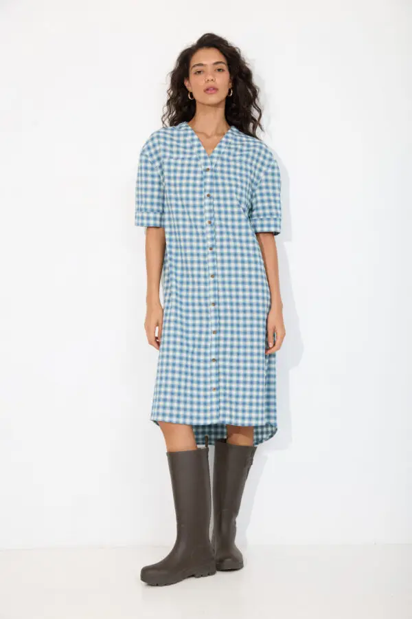 Blue Plaid Moss Dress